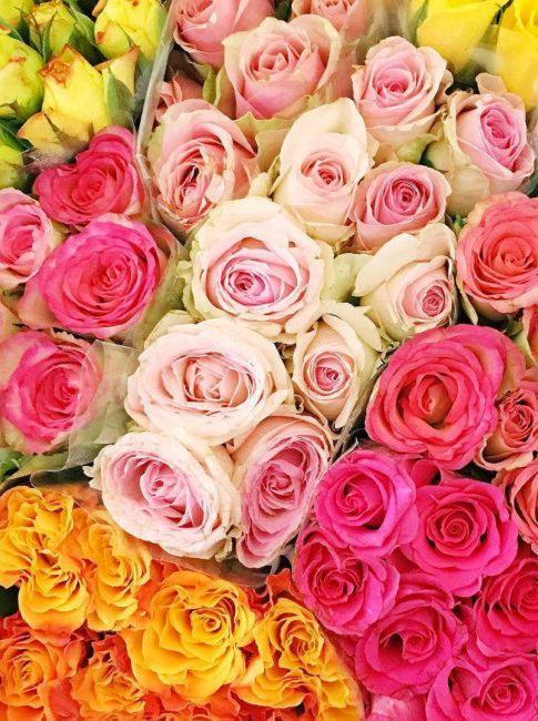 Recap Instagram 3: mazzi di rose.