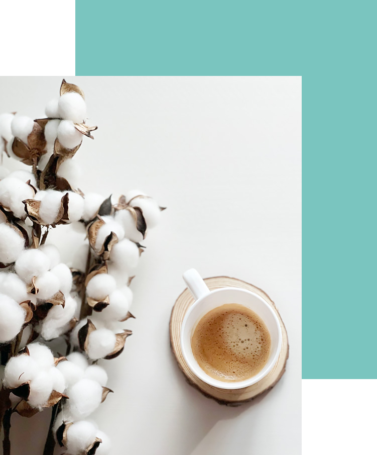 Consulenze personalizzate per blogger.