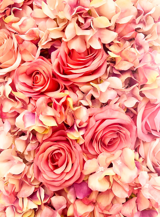 Pink flowers.