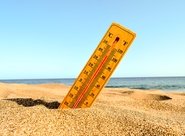 Consigli per il caldo: come affrontare un'estate torrida.