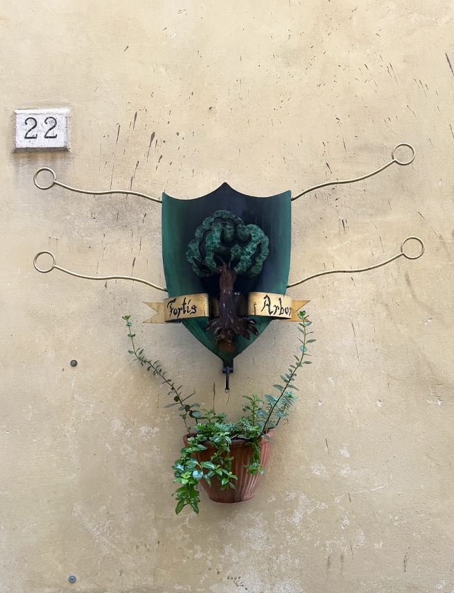 Le taverne dei rioni di Foligno: dove il rione diventa casa.